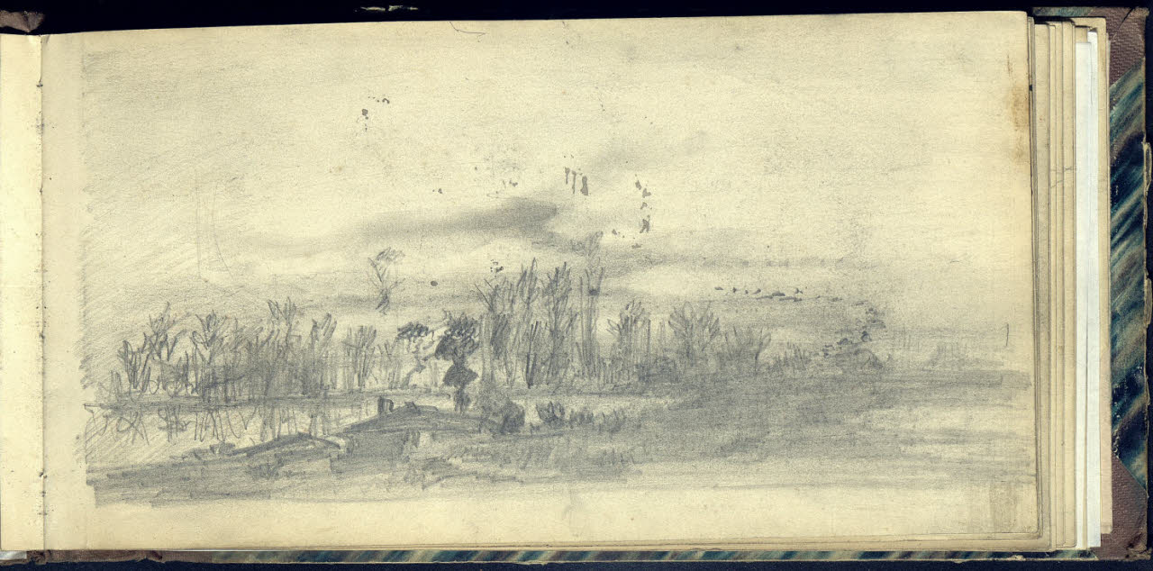 Paesaggio alberato (disegno) di Bianchi, Mosè; Bianchi, Mosè (seconda metà sec. XIX)