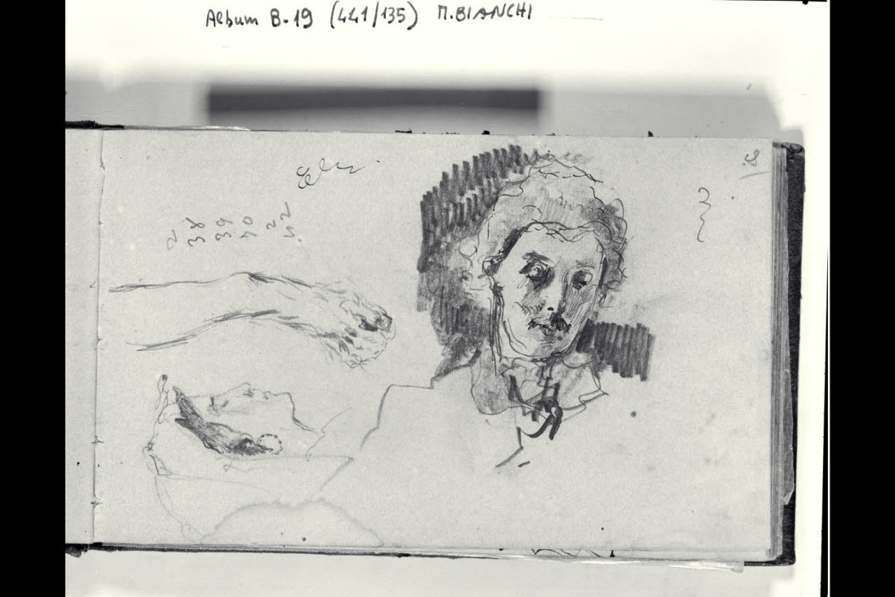 Schizzo di un braccio, di una testa e di un profilo femminile (disegno) di Bianchi, Mosè; Bianchi, Mosè (seconda metà sec. XIX)