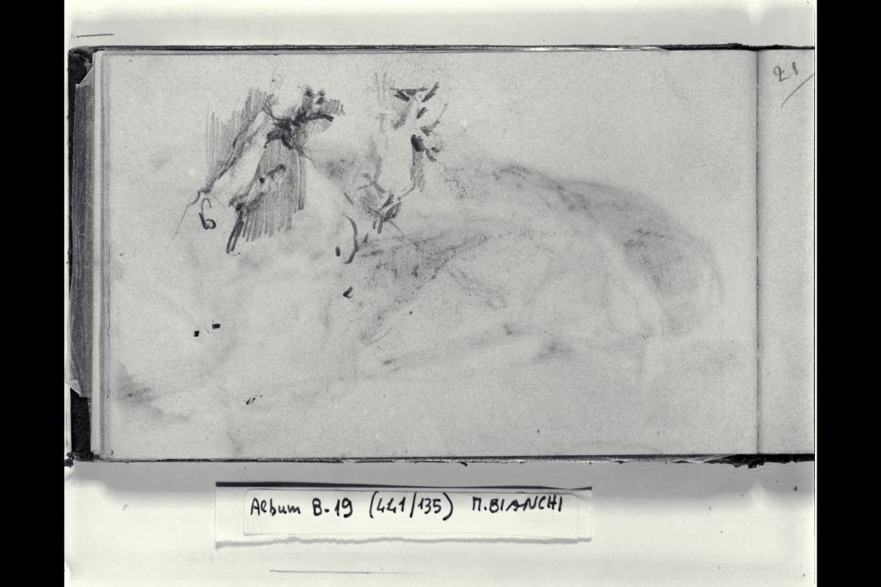 Due schizzi di una mano (disegno) di Bianchi, Mosè; Bianchi, Mosè (seconda metà sec. XIX)