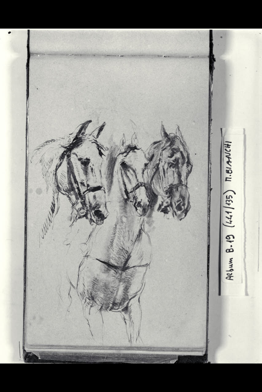Tre teste di cavalli (disegno) di Bianchi, Mosè; Bianchi, Mosè (seconda metà sec. XIX)