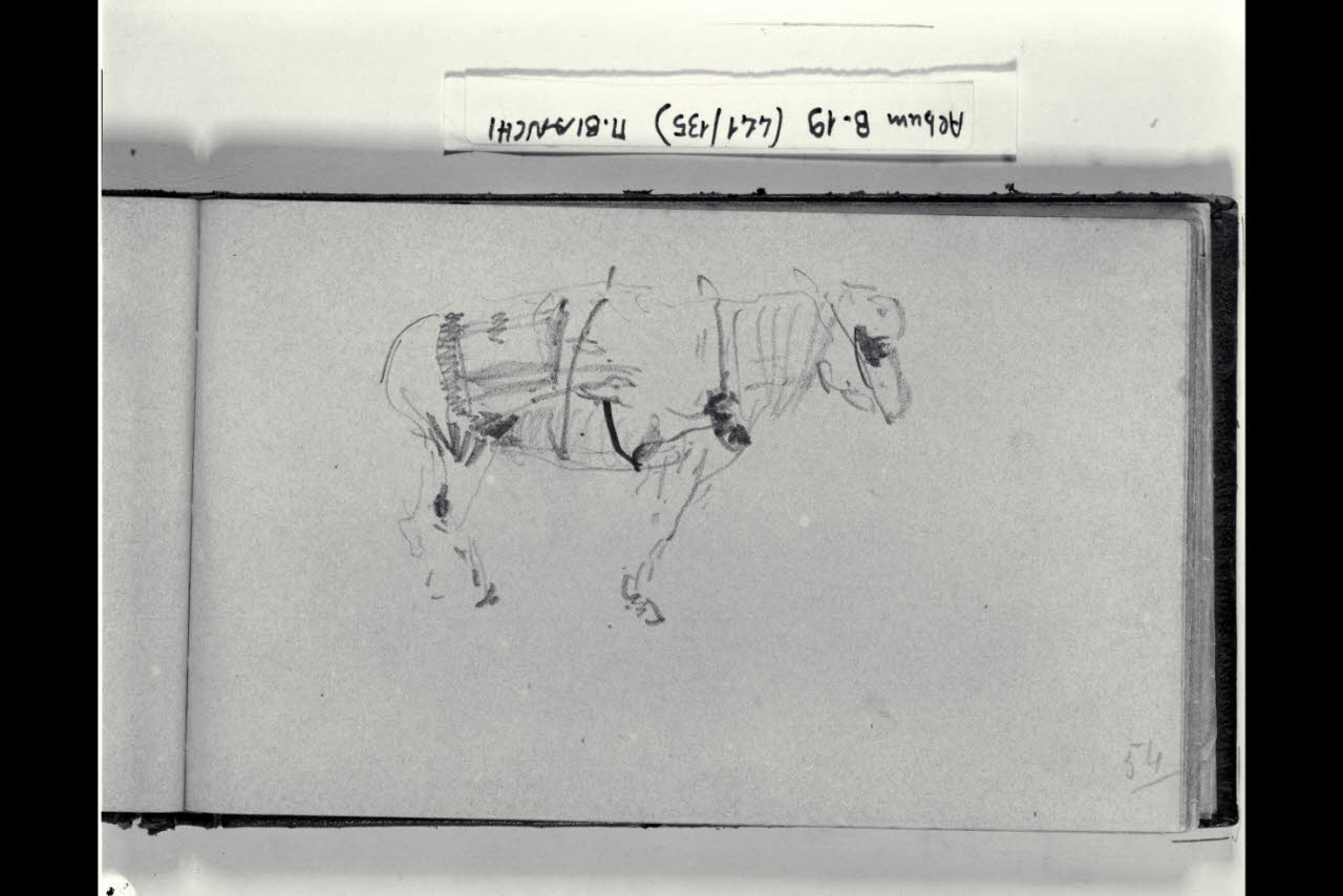 Schizzo di un quadrupede (disegno) di Bianchi, Mosè; Bianchi, Mosè (seconda metà sec. XIX)