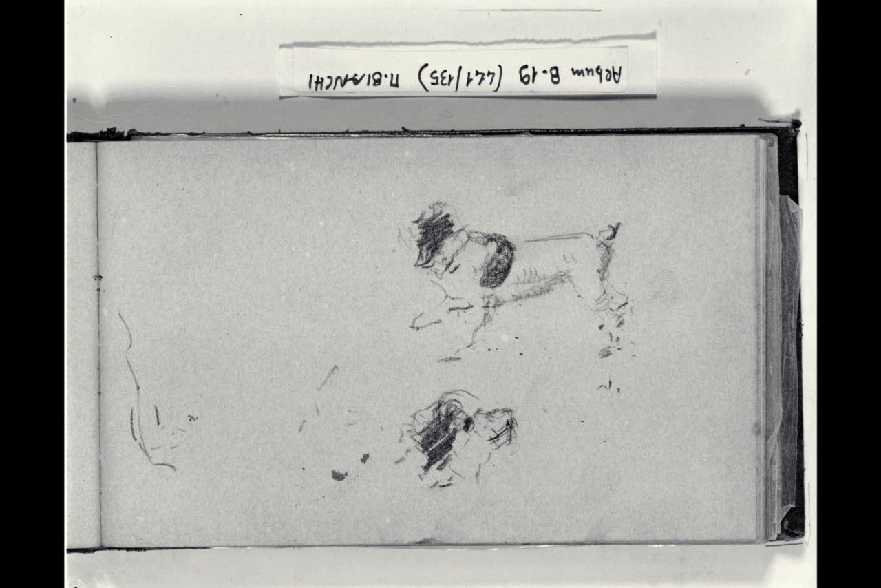 Due schizzi di un cane (disegno) di Bianchi, Mosè; Bianchi, Mosè (seconda metà sec. XIX)