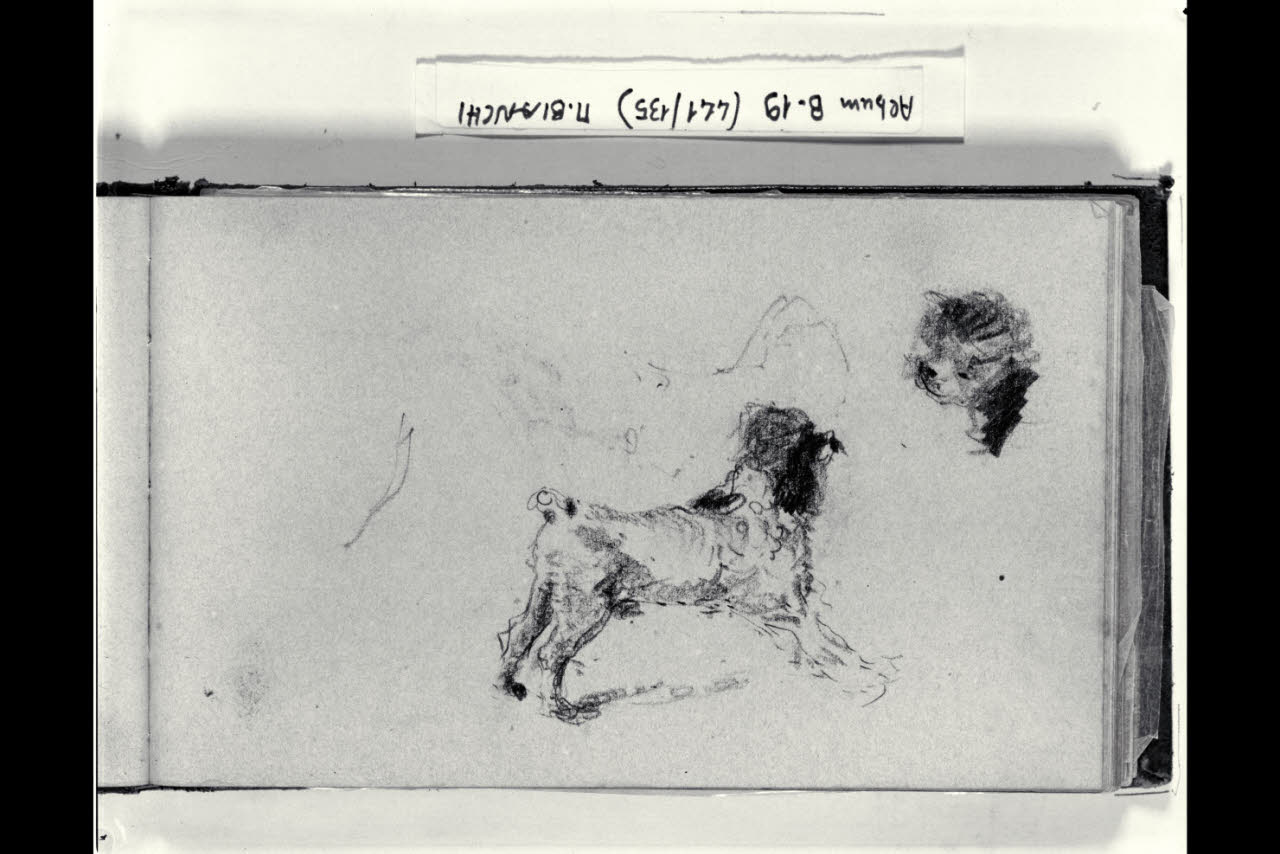 Due schizzi di un cane (disegno) di Bianchi, Mosè; Bianchi, Mosè (seconda metà sec. XIX)