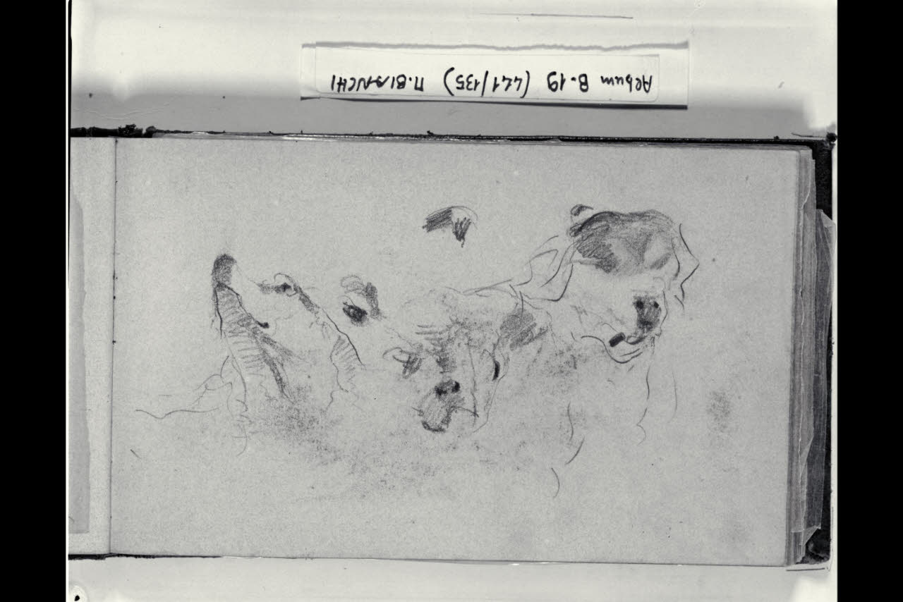 Tre abbozzi di una testa di cane (disegno) di Bianchi, Mosè; Bianchi, Mosè (seconda metà sec. XIX)