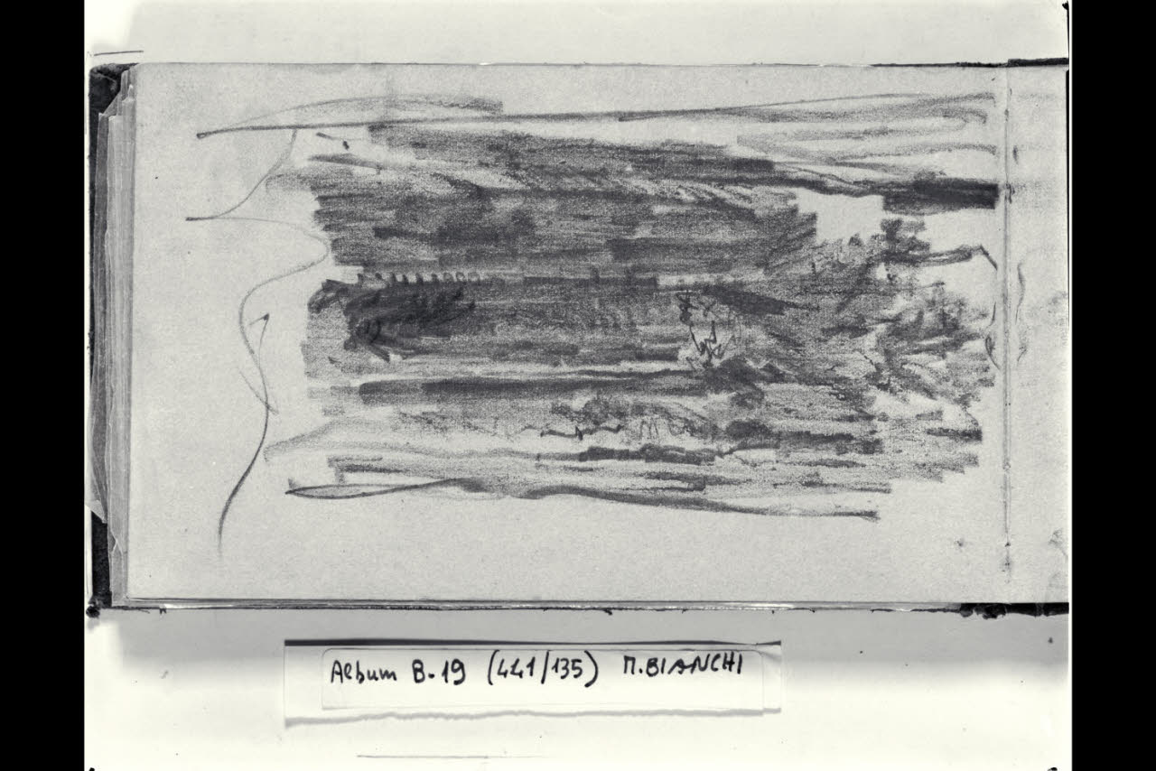 Abbozzo di un bosco (disegno) di Bianchi, Mosè; Bianchi, Mosè (seconda metà sec. XIX)