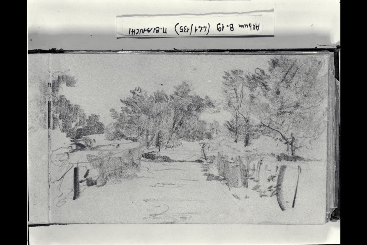 Paesaggio alberato (disegno) di Bianchi, Mosè; Bianchi, Mosè (seconda metà sec. XIX)