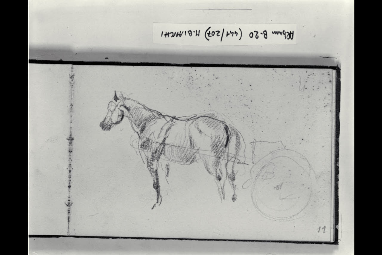 Cavallo con carretto (disegno) di Bianchi, Mosè; Bianchi, Mosè (seconda metà sec. XIX)