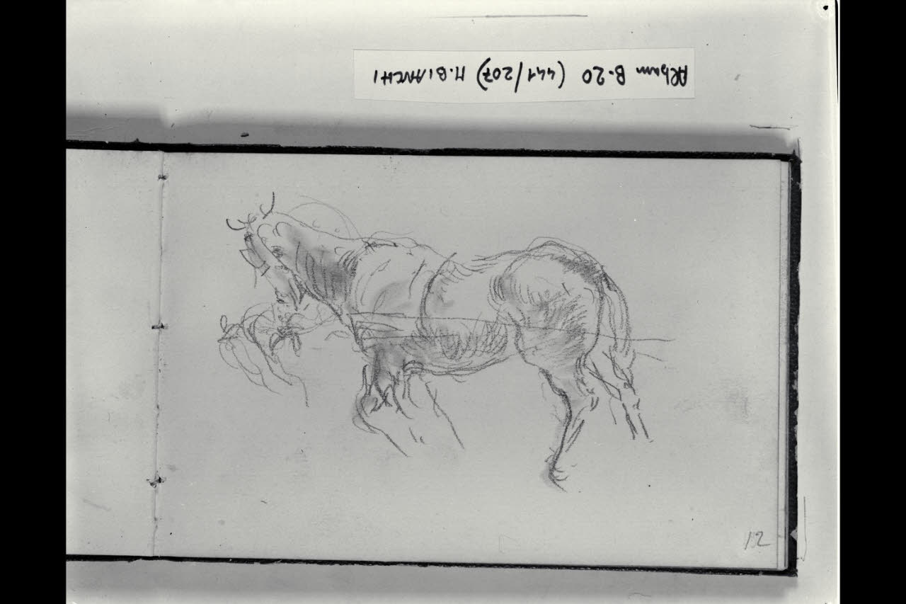 Cavallo al passo (disegno) di Bianchi, Mosè; Bianchi, Mosè (seconda metà sec. XIX)