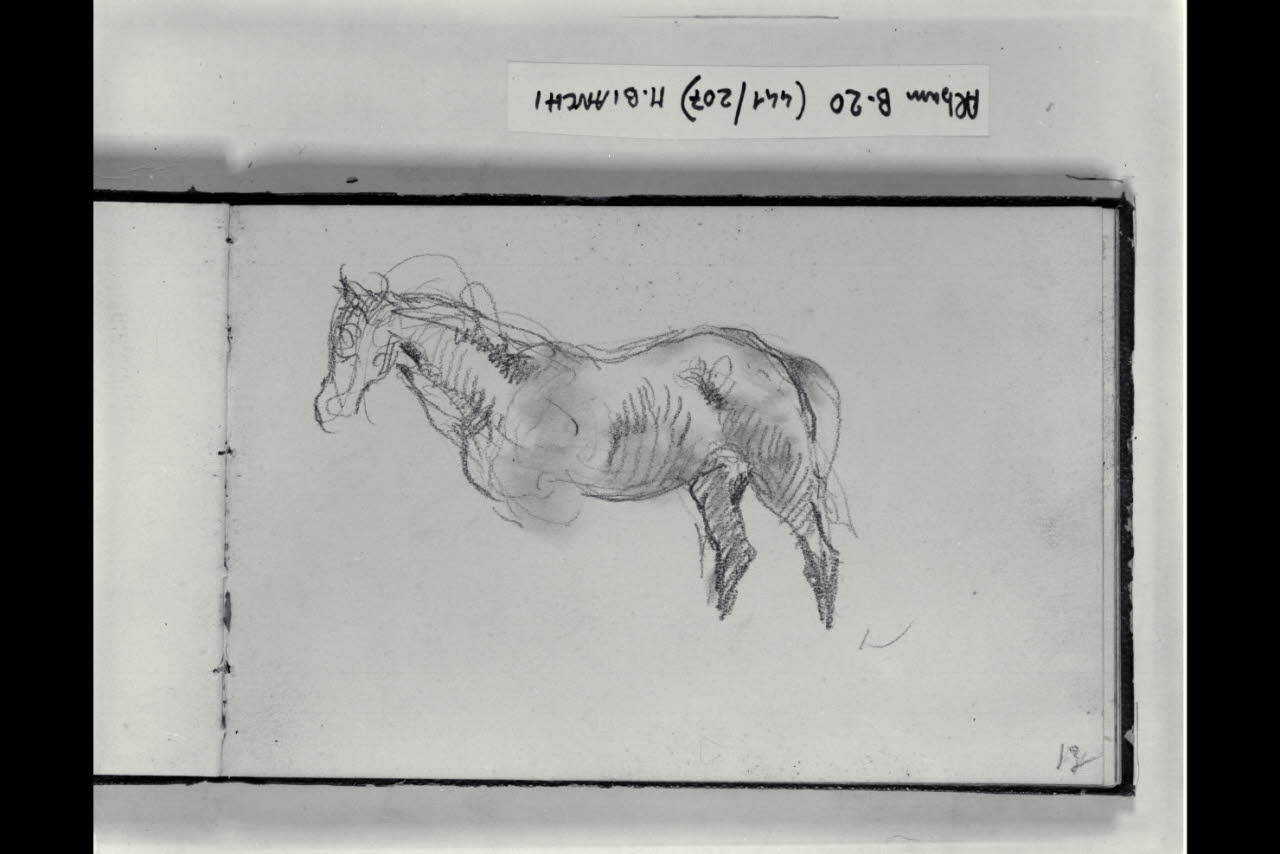 Abbozzo di cavallo (disegno) di Bianchi, Mosè; Bianchi, Mosè (seconda metà sec. XIX)