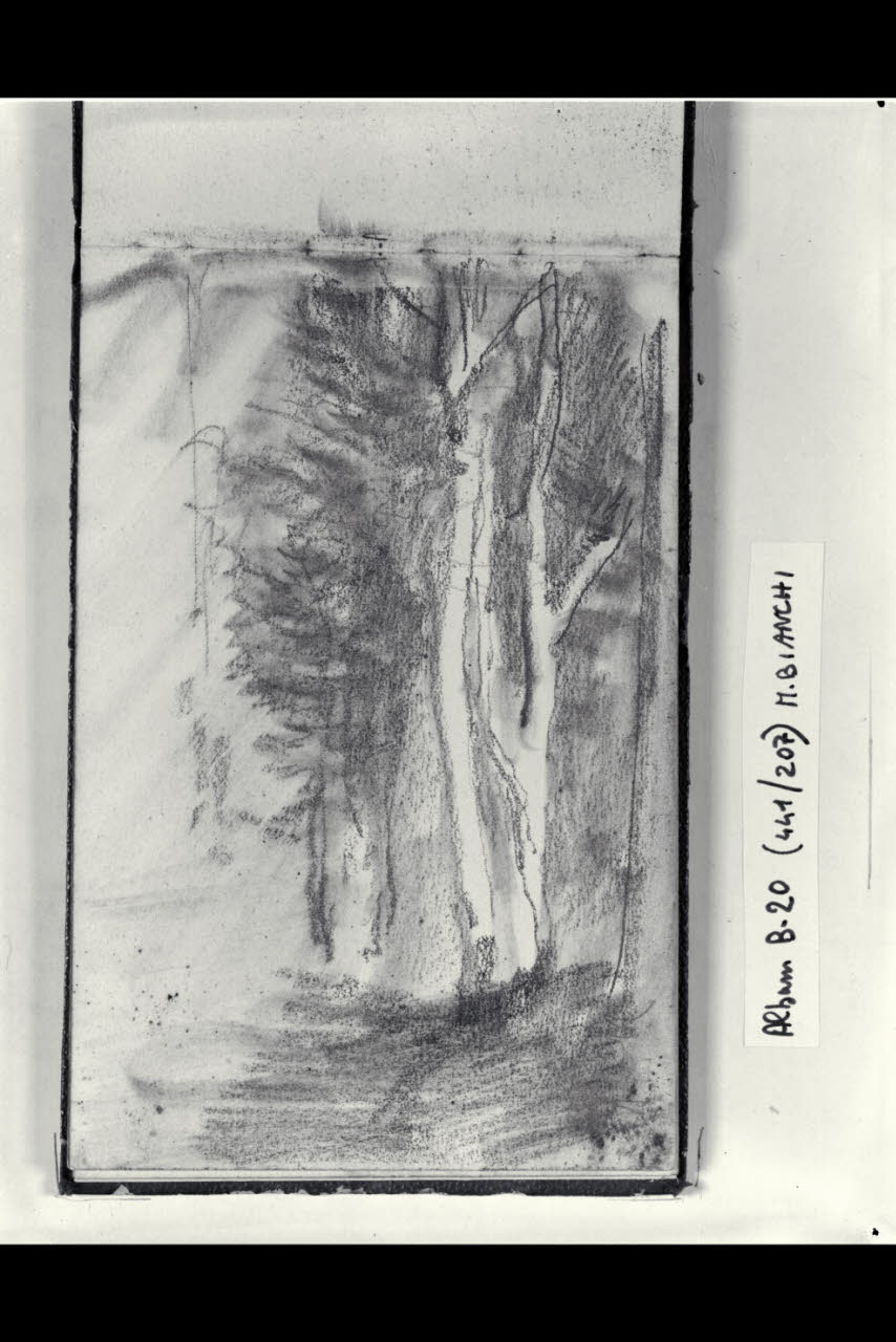 Gruppo di alberi (disegno) di Bianchi, Mosè; Bianchi, Mosè (seconda metà sec. XIX)