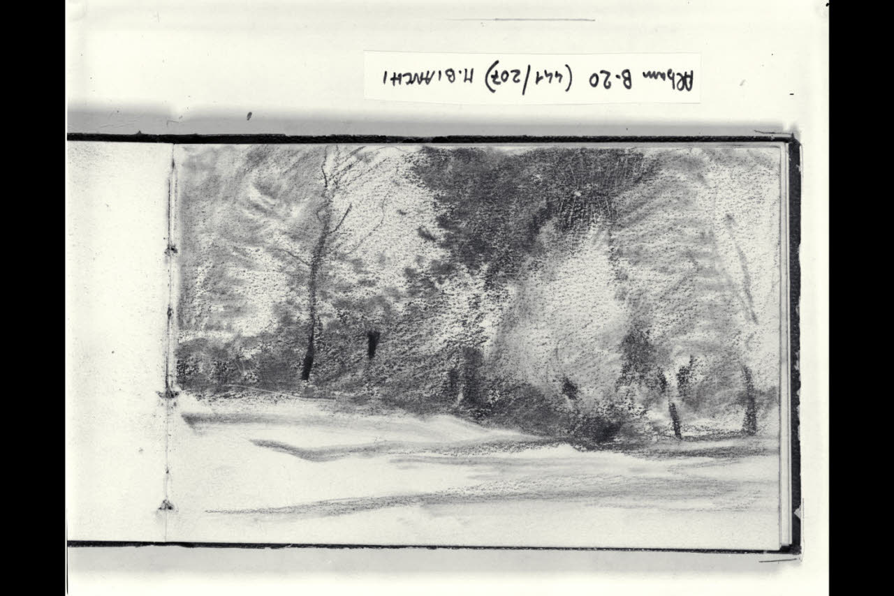 Strada alberata (disegno) di Bianchi, Mosè; Bianchi, Mosè (seconda metà sec. XIX)