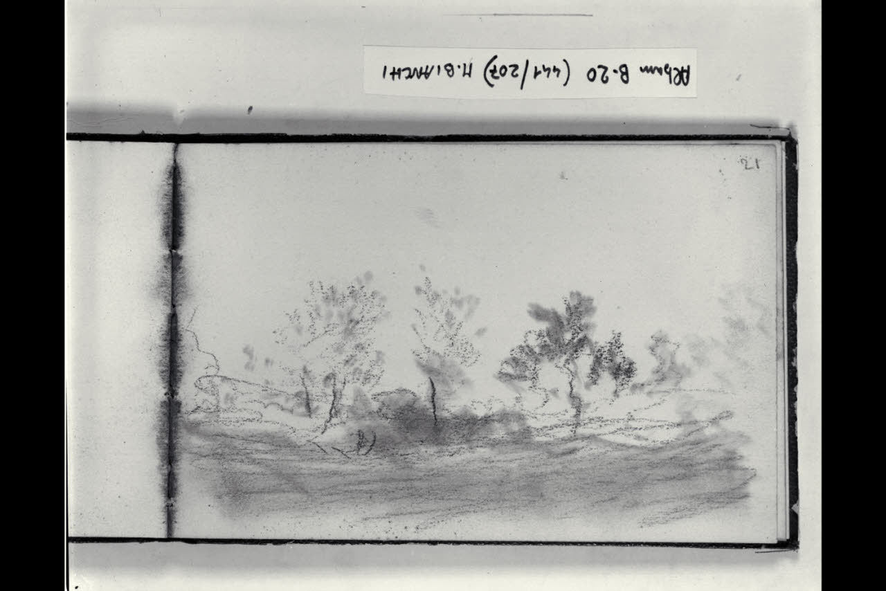 Gruppo di alberi (disegno) di Bianchi, Mosè; Bianchi, Mosè (seconda metà sec. XIX)