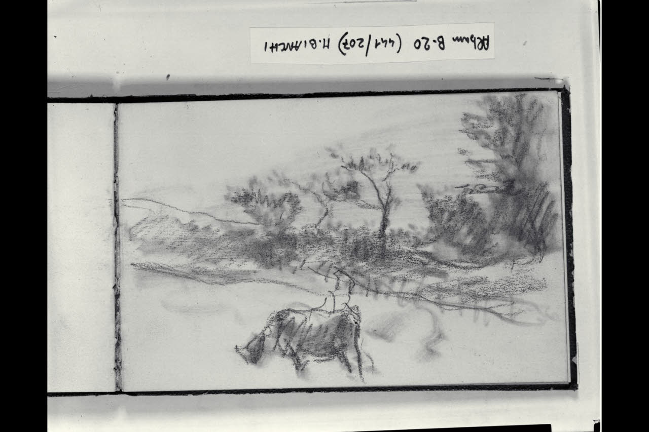 Mucca al pascolo in paesaggio alberato (disegno) di Bianchi, Mosè; Bianchi, Mosè (seconda metà sec. XIX)