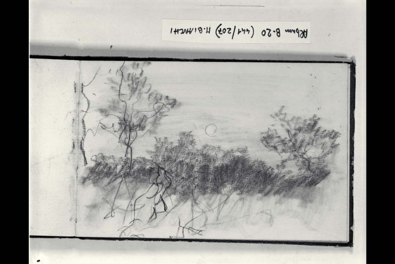 Paesaggio alberato (disegno) di Bianchi, Mosè; Bianchi, Mosè (seconda metà sec. XIX)