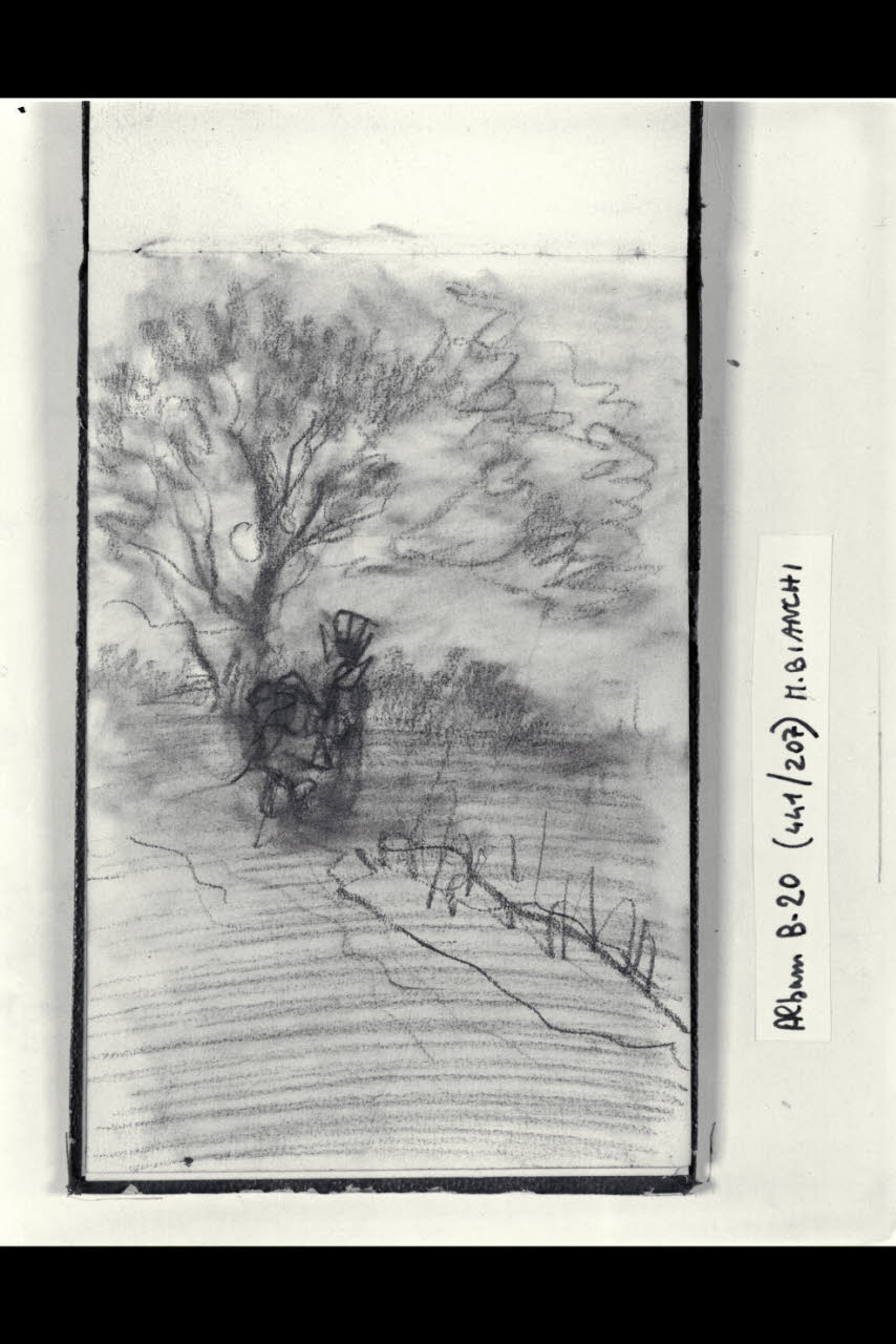 Strada alberata (disegno) di Bianchi, Mosè; Bianchi, Mosè (seconda metà sec. XIX)