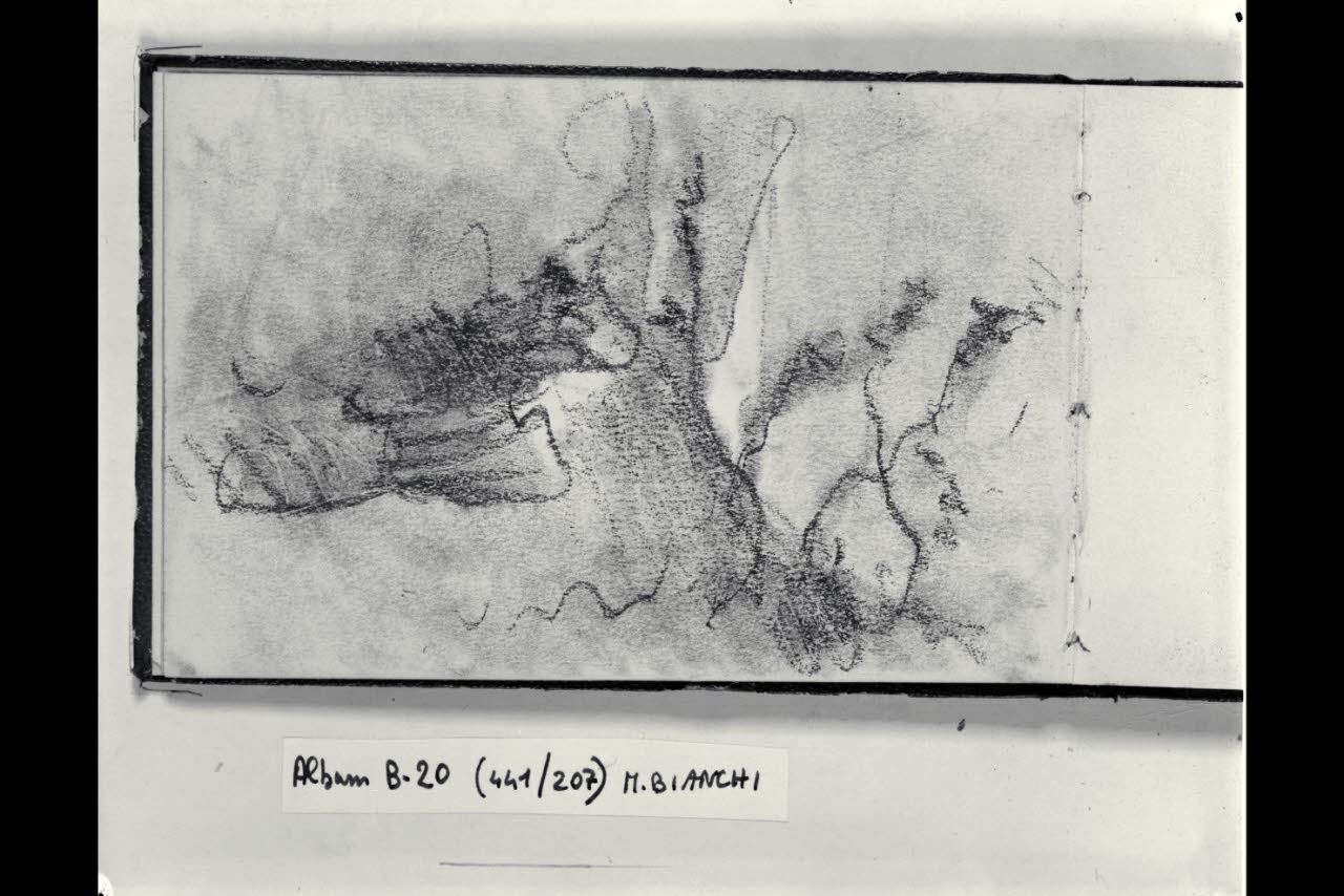 Paesaggio (disegno) di Bianchi, Mosè; Bianchi, Mosè (seconda metà sec. XIX)