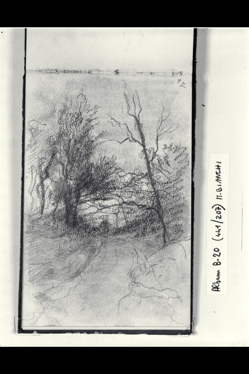 Strada alberata (disegno) di Bianchi, Mosè; Bianchi, Mosè (seconda metà sec. XIX)