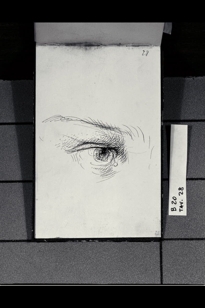 Studio di un occhio (disegno) di Bianchi, Mosè; Bianchi, Mosè (seconda metà sec. XIX)