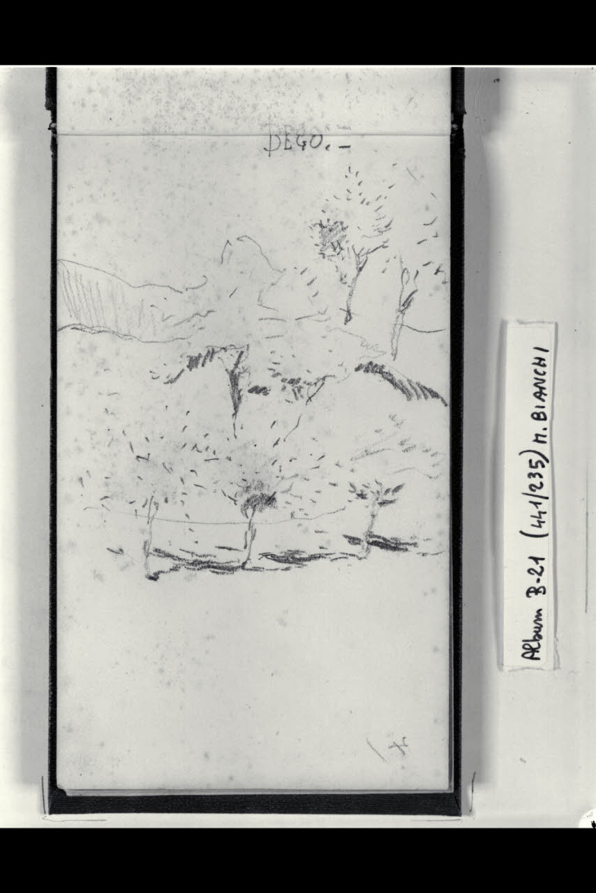 Particolare di paesaggio alberato (disegno) di Bianchi, Mosè; Bianchi, Mosè (seconda metà sec. XIX)