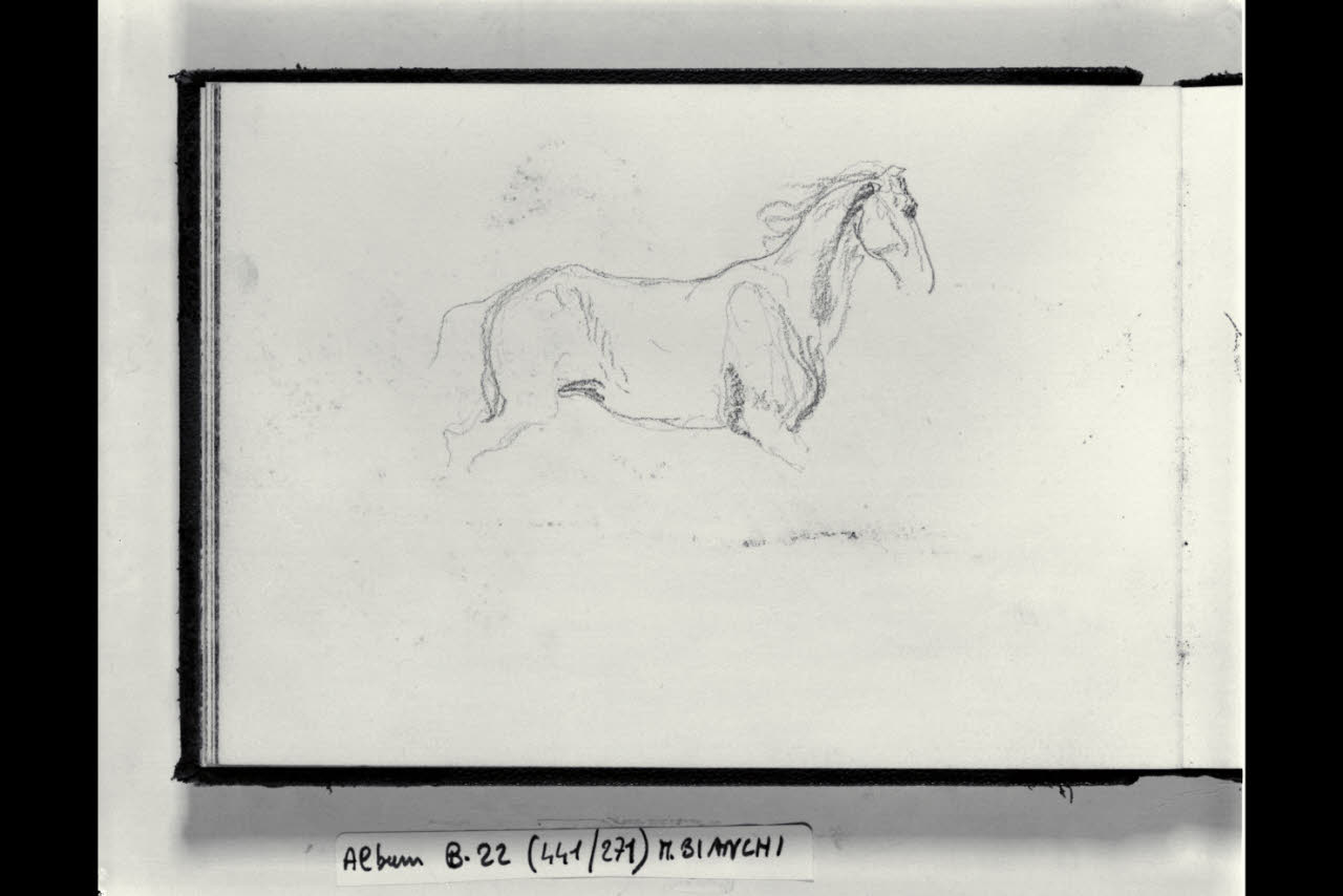 Cavallo (disegno) di Bianchi, Mosè; Bianchi, Mosè (seconda metà sec. XIX)