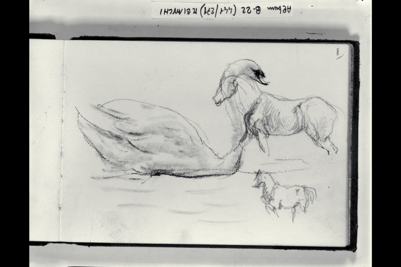 Schizzi di un cigno e di due cavalli (disegno) di Bianchi, Mosè; Bianchi, Mosè (seconda metà sec. XIX)