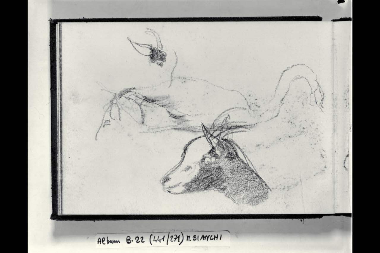 Schizzi di un cigno e testa di un capretto (disegno) di Bianchi, Mosè; Bianchi, Mosè (seconda metà sec. XIX)