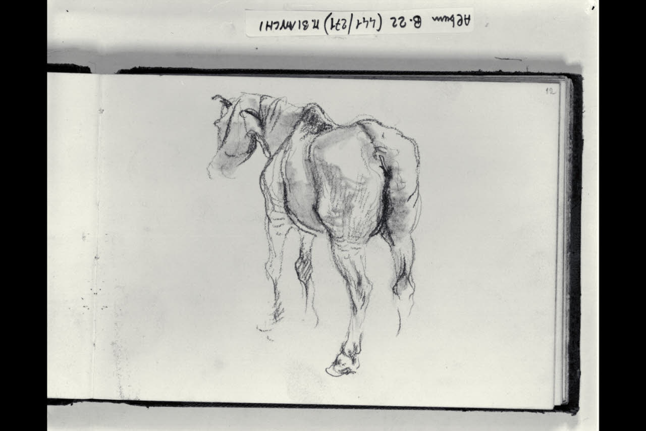Cavallo di scorcio (disegno) di Bianchi, Mosè; Bianchi, Mosè (seconda metà sec. XIX)