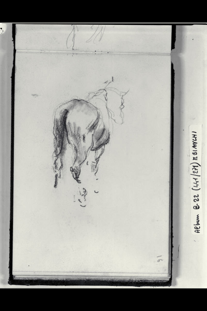 Cavallo visto da tergo (disegno) di Bianchi, Mosè; Bianchi, Mosè (seconda metà sec. XIX)