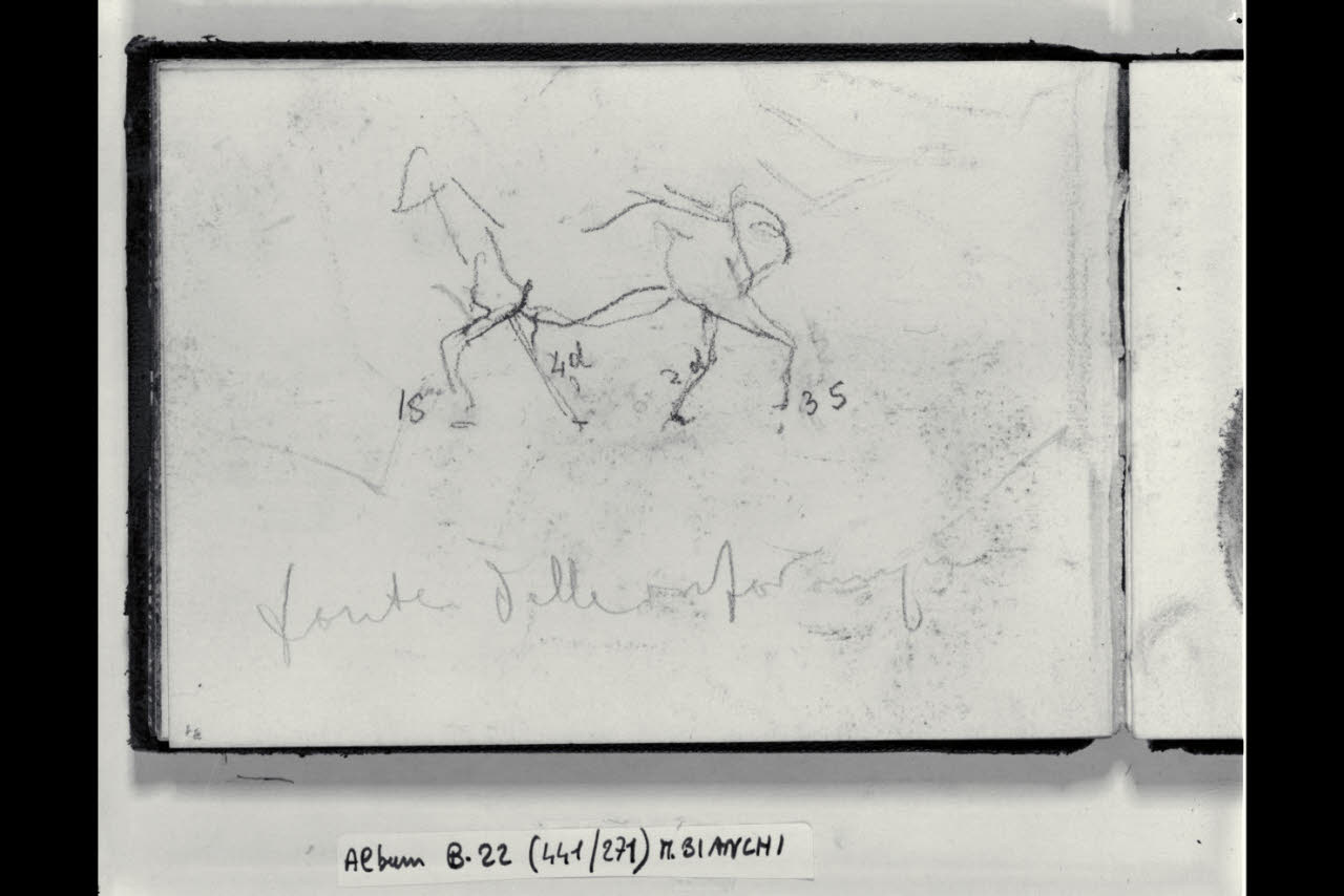 Schizzo di un cavallo al trotto (disegno) di Bianchi, Mosè; Bianchi, Mosè (seconda metà sec. XIX)