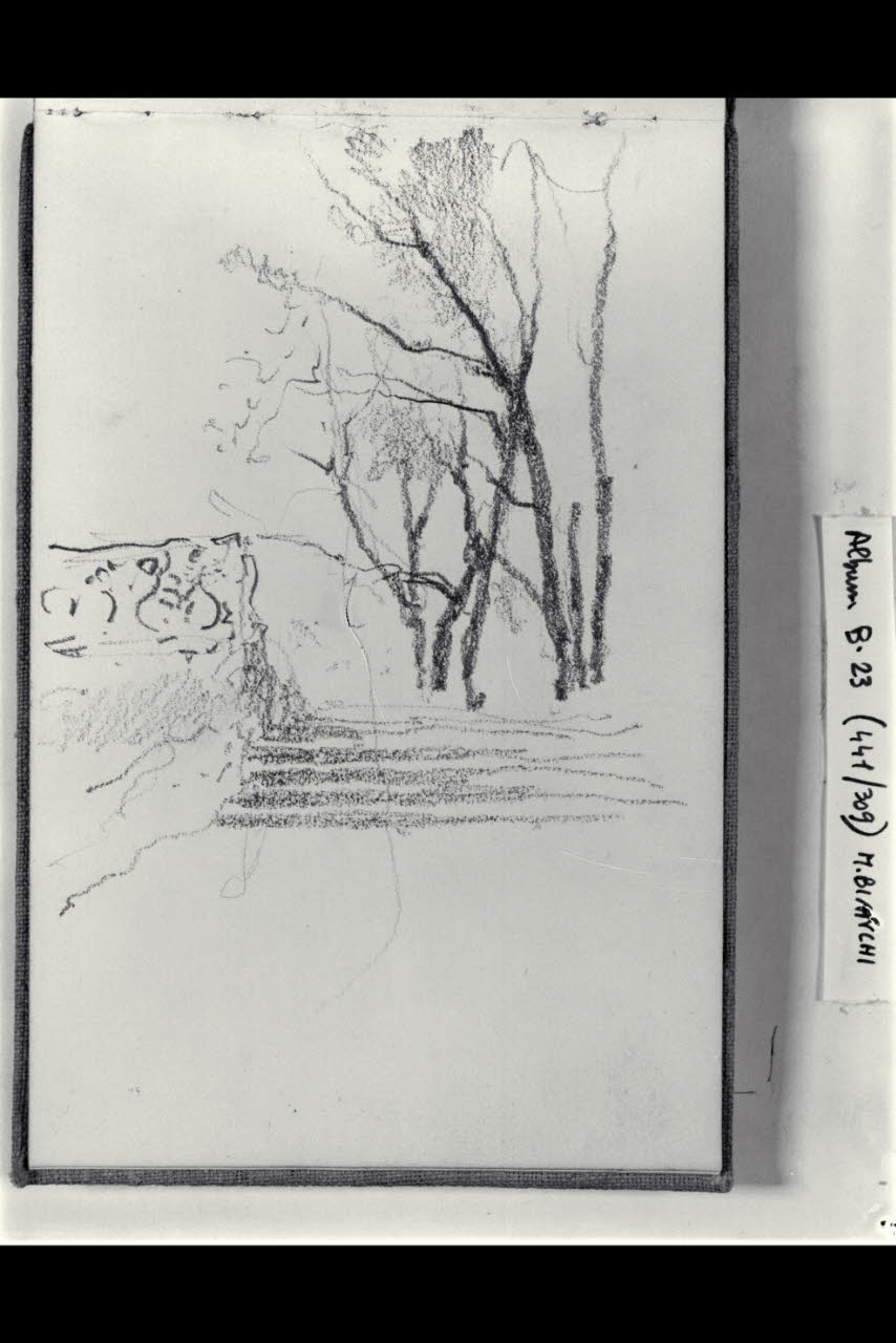 Schizzo con scalinata e gruppo d'alberi (disegno) di Bianchi, Mosè; Bianchi, Mosè (seconda metà sec. XIX)