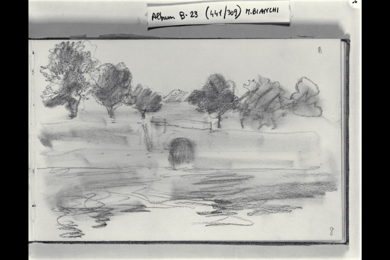 Particolare di un canale alberato (disegno) di Bianchi, Mosè; Bianchi, Mosè (seconda metà sec. XIX)