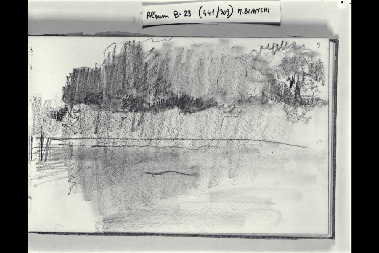 Particolare di un canale alberato (disegno) di Bianchi, Mosè; Bianchi, Mosè (seconda metà sec. XIX)