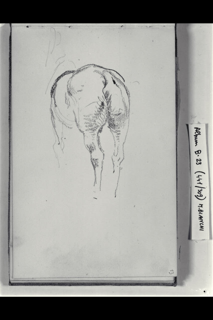 Zampe posteriori di un cavallo (disegno) di Bianchi, Mosè; Bianchi, Mosè (seconda metà sec. XIX)