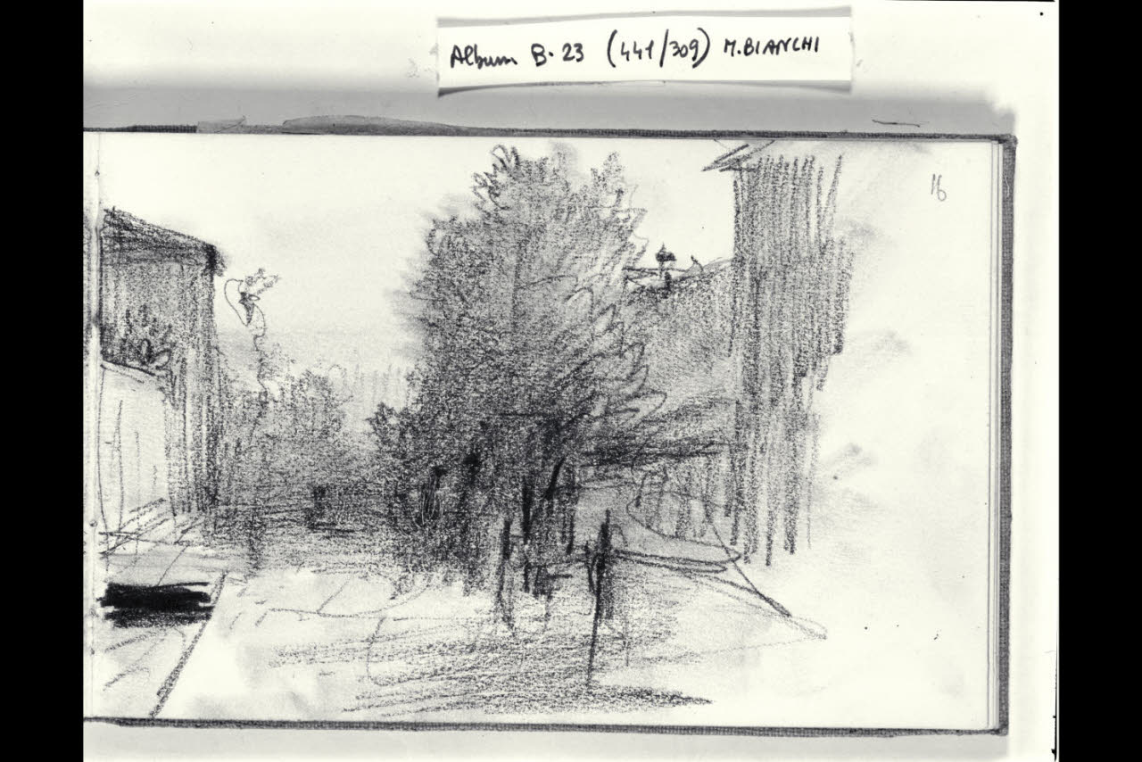 Strada alberata (disegno) di Bianchi, Mosè; Bianchi, Mosè (seconda metà sec. XIX)