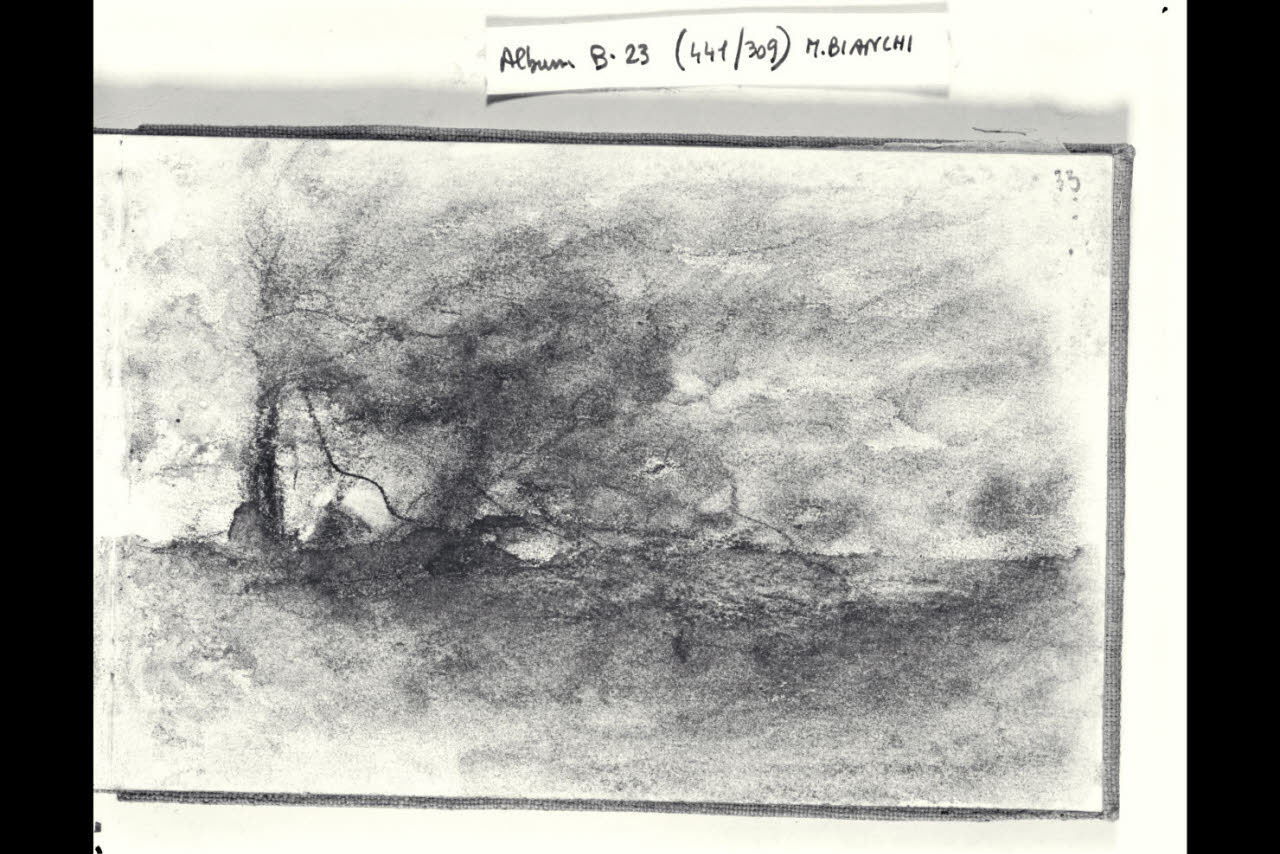 Paesaggio burrascoso (disegno) di Bianchi, Mosè; Bianchi, Mosè (seconda metà sec. XIX)
