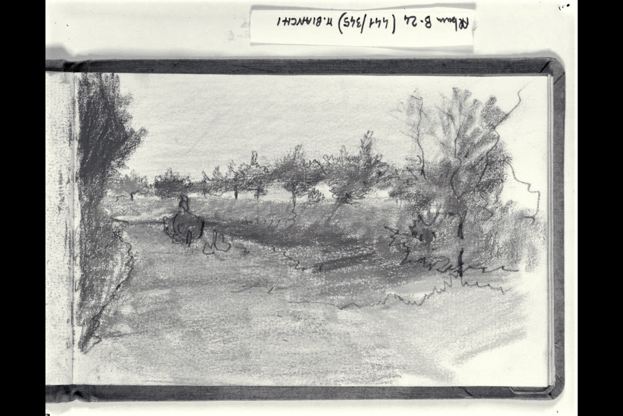 Paesaggio alberato (disegno) di Bianchi, Mosè; Bianchi, Mosè (seconda metà sec. XIX)