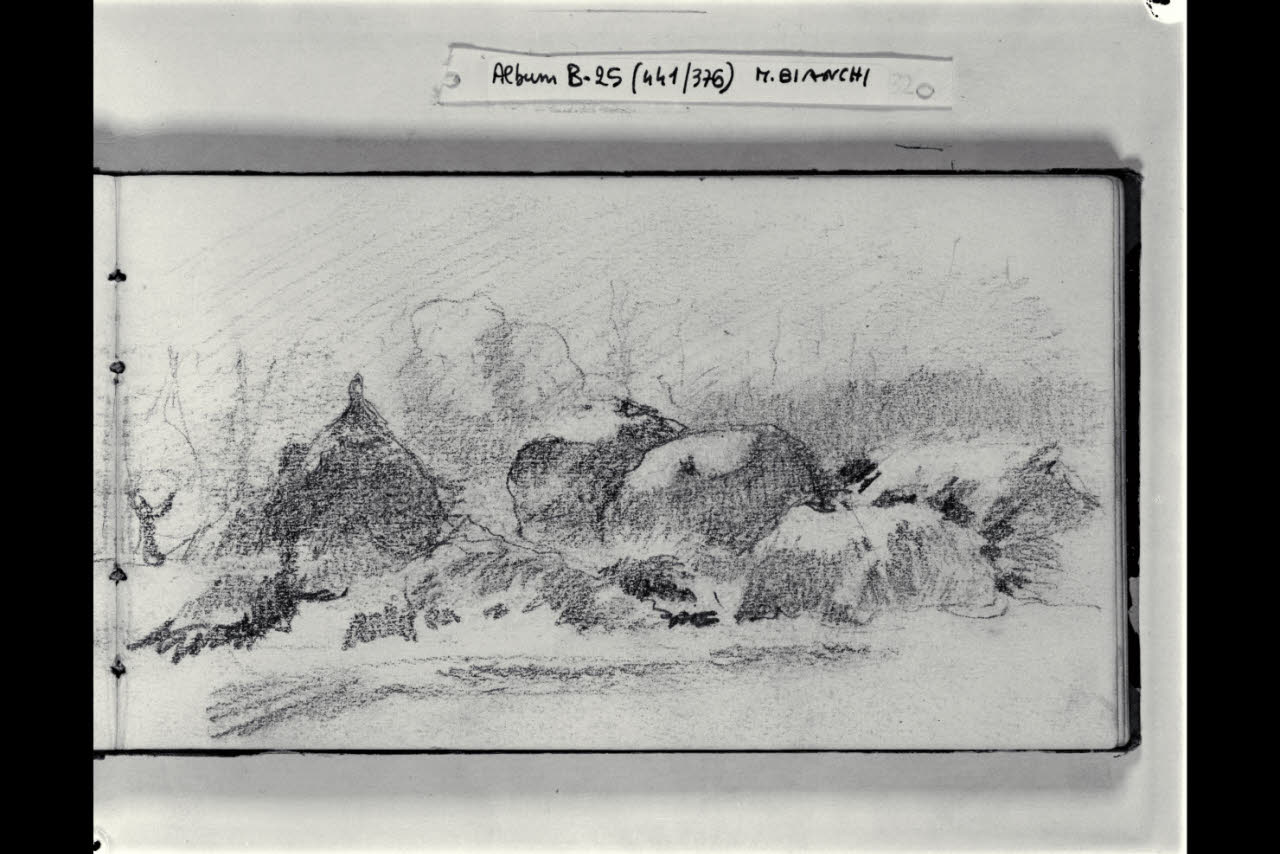 Paesaggio (disegno) di Bianchi, Mosè; Bianchi, Mosè (seconda metà sec. XIX)