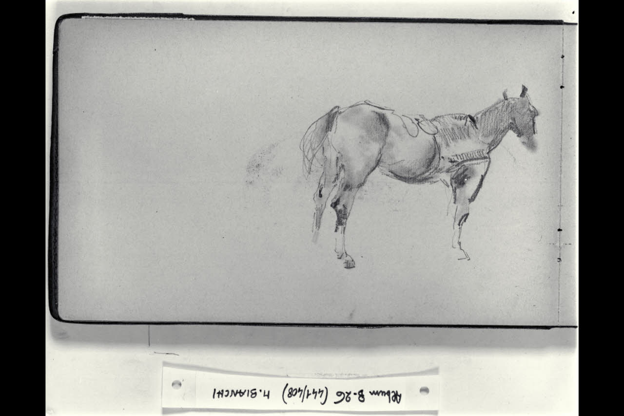 Cavallo stante (disegno) di Bianchi, Mosè; Bianchi, Mosè (seconda metà sec. XIX)