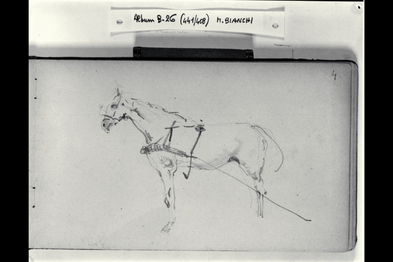 Schizzo di un cavalllo bardato (disegno) di Bianchi, Mosè; Bianchi, Mosè (seconda metà sec. XIX)