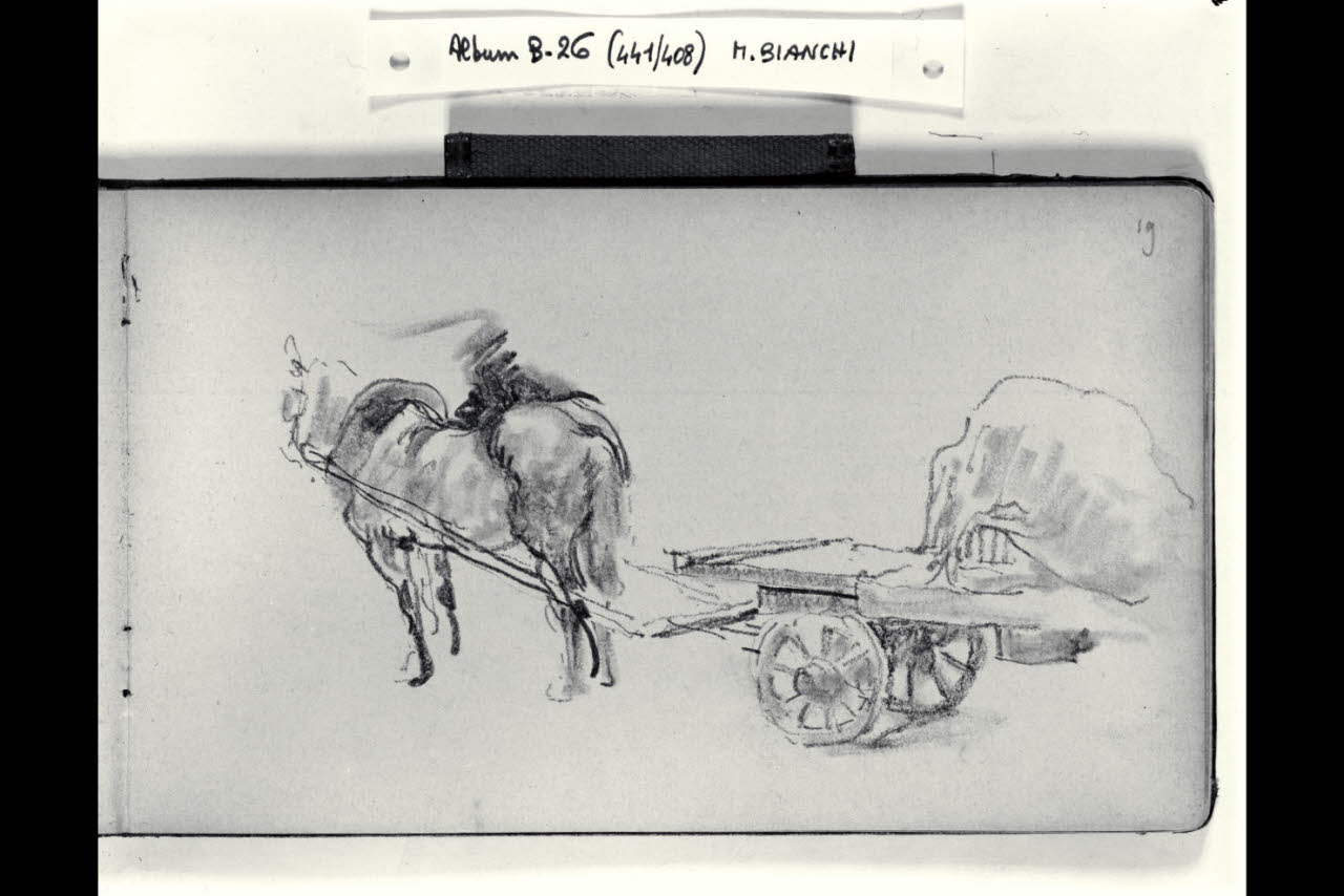 Particolare di un carro trainato da un cavallo (disegno) di Bianchi, Mosè; Bianchi, Mosè (seconda metà sec. XIX)