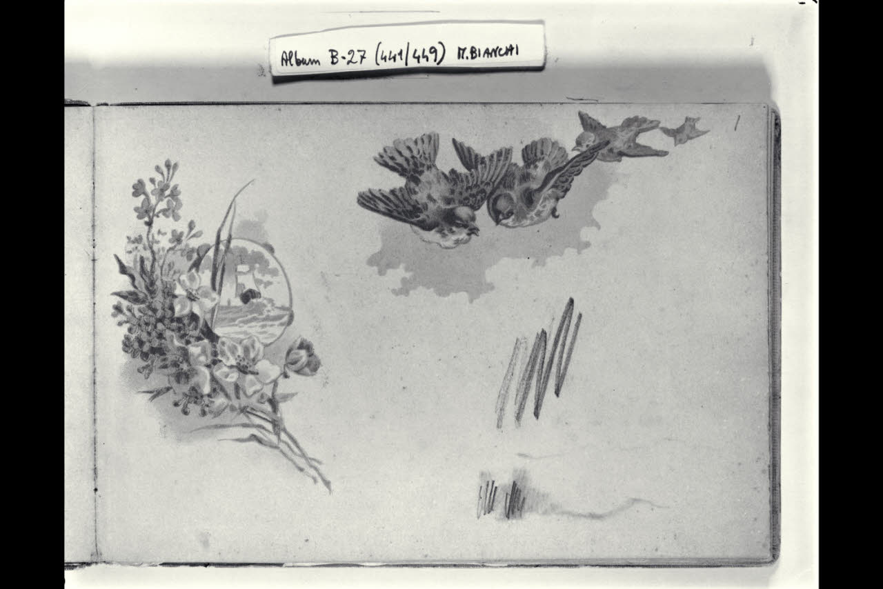 Mazzo di fiori con a destra, in un ovale, una marina con un veliero; quattro uccelli in volo (disegno) di Bianchi, Mosè; Bianchi, Mosè (seconda metà sec. XIX)