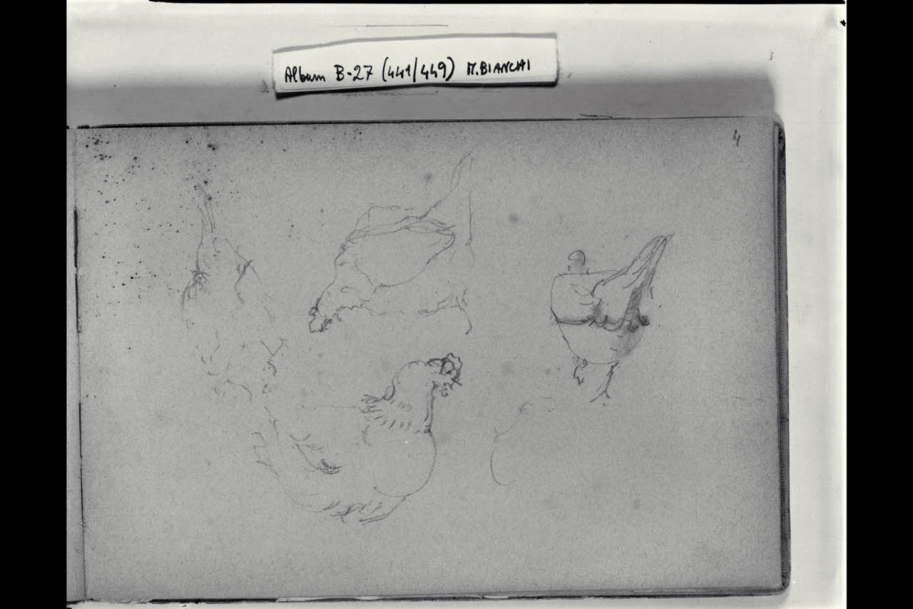 Abbozzo di quattro galline (disegno) di Bianchi, Mosè; Bianchi, Mosè (seconda metà sec. XIX)