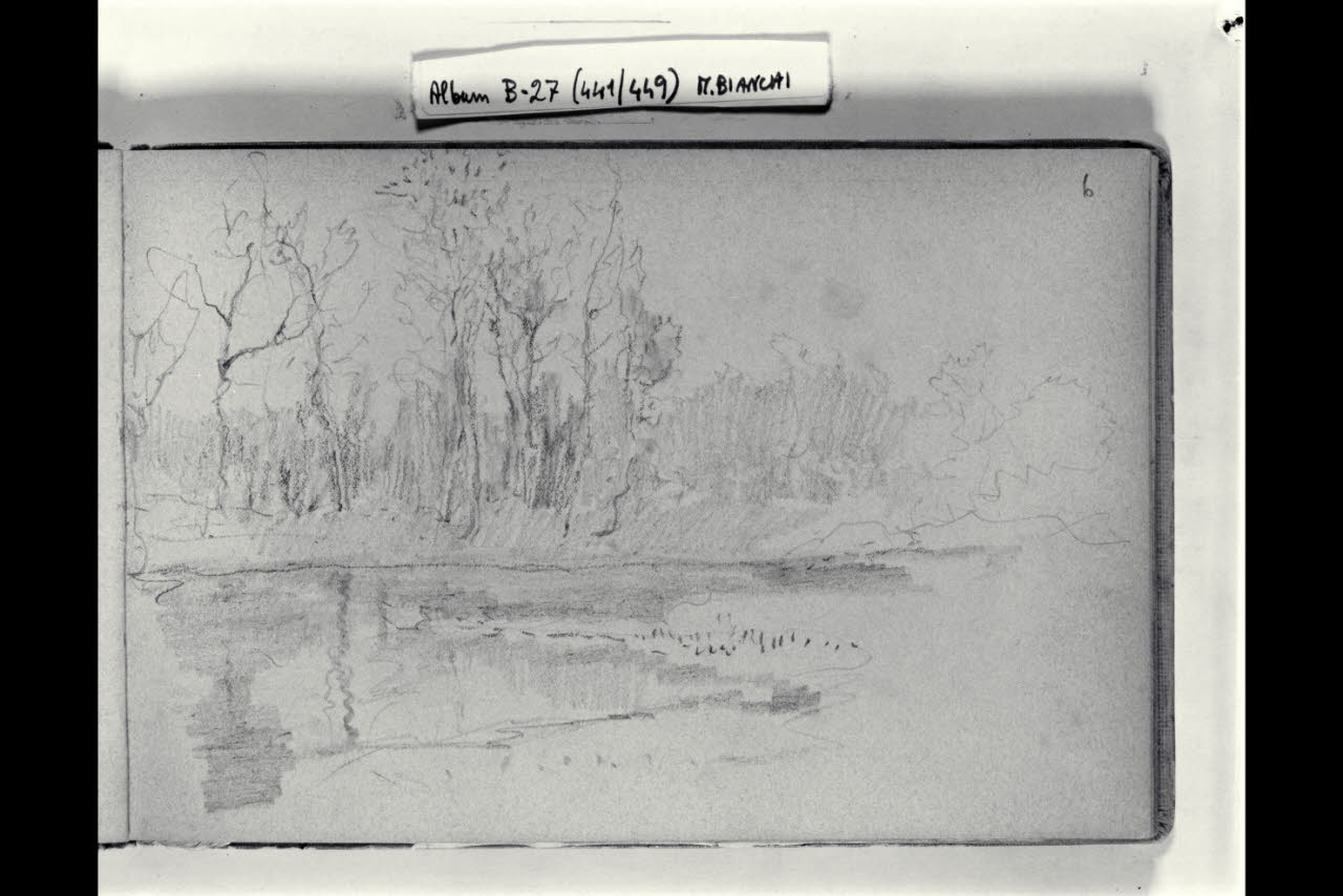 Stagno alberato (disegno) di Bianchi, Mosè; Bianchi, Mosè (seconda metà sec. XIX)