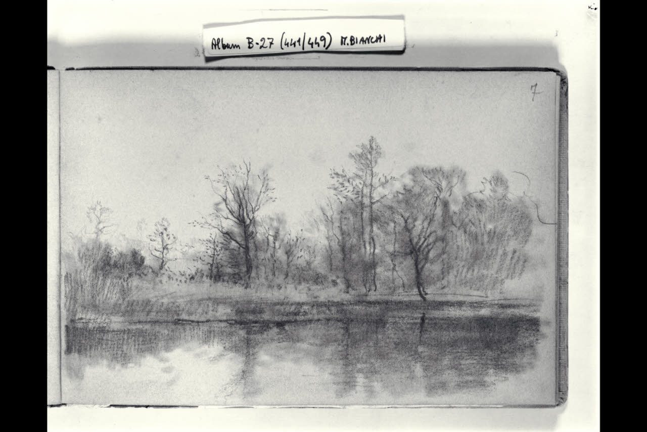 Corso d'acqua con alberi (disegno) di Bianchi, Mosè; Bianchi, Mosè (seconda metà sec. XIX)