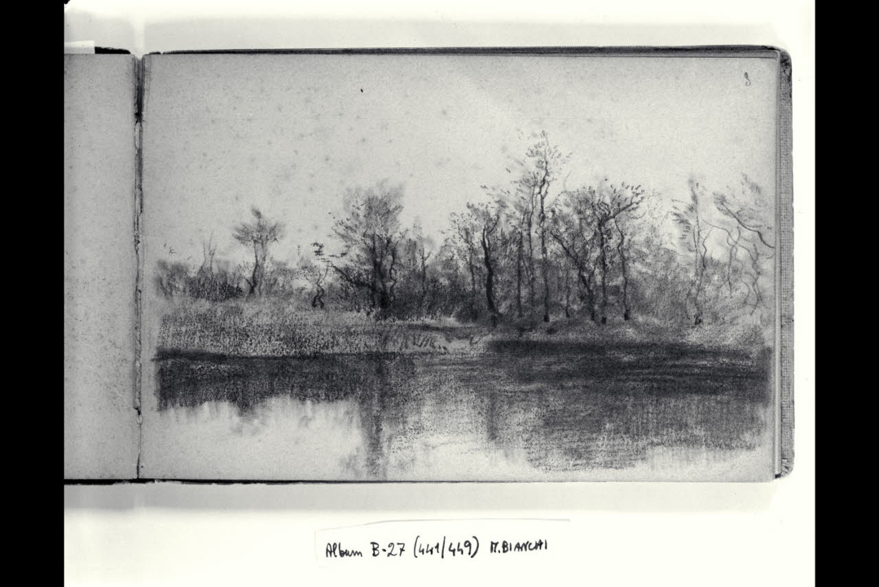 Corso d'acqua alberato (disegno) di Bianchi, Mosè; Bianchi, Mosè (seconda metà sec. XIX)