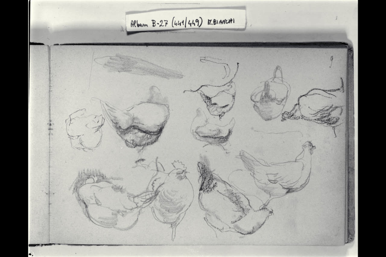 Abbozzo di galline (disegno) di Bianchi, Mosè; Bianchi, Mosè (seconda metà sec. XIX)