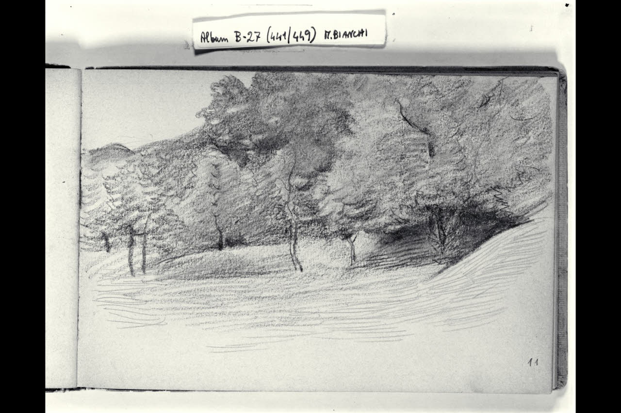 Paesaggio alberato (disegno) di Bianchi, Mosè; Bianchi, Mosè (seconda metà sec. XIX)