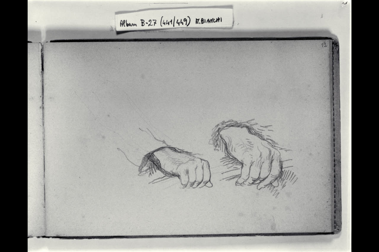 Studio di due mani maschili (disegno) di Bianchi, Mosè; Bianchi, Mosè (seconda metà sec. XIX)