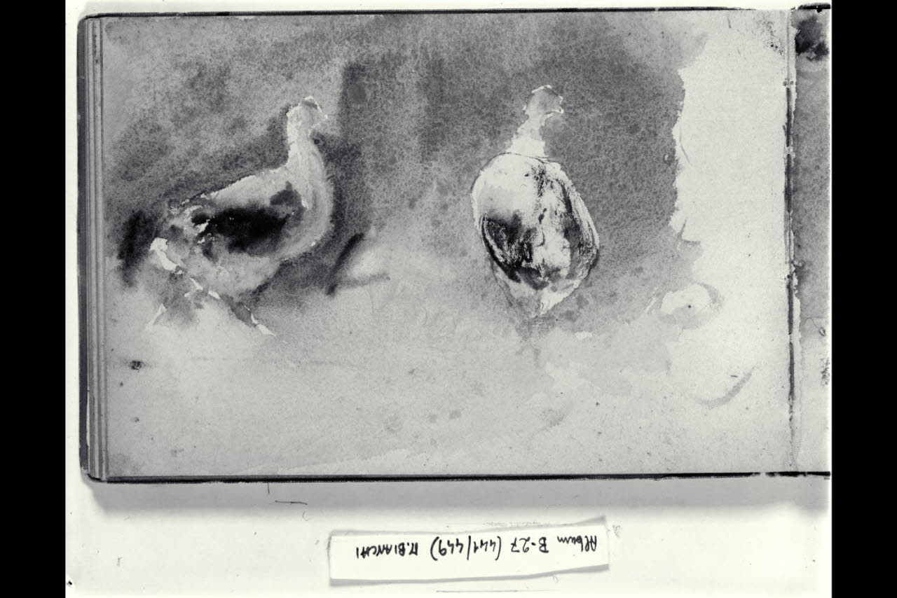 Abbozzo di pennuti (disegno) di Bianchi, Mosè; Bianchi, Mosè (seconda metà sec. XIX)