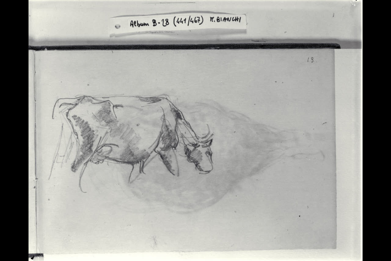 Mucca al pascolo (disegno) di Bianchi, Mosè; Bianchi, Mosè (seconda metà sec. XIX)